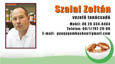 Szalai Zoltán, vezető tanácsadó